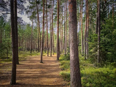 Rezerwat Przyrody Czartowe Pole
