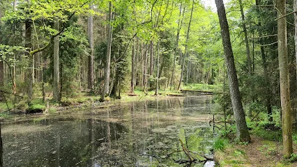 Roztoczański Park Narodowy